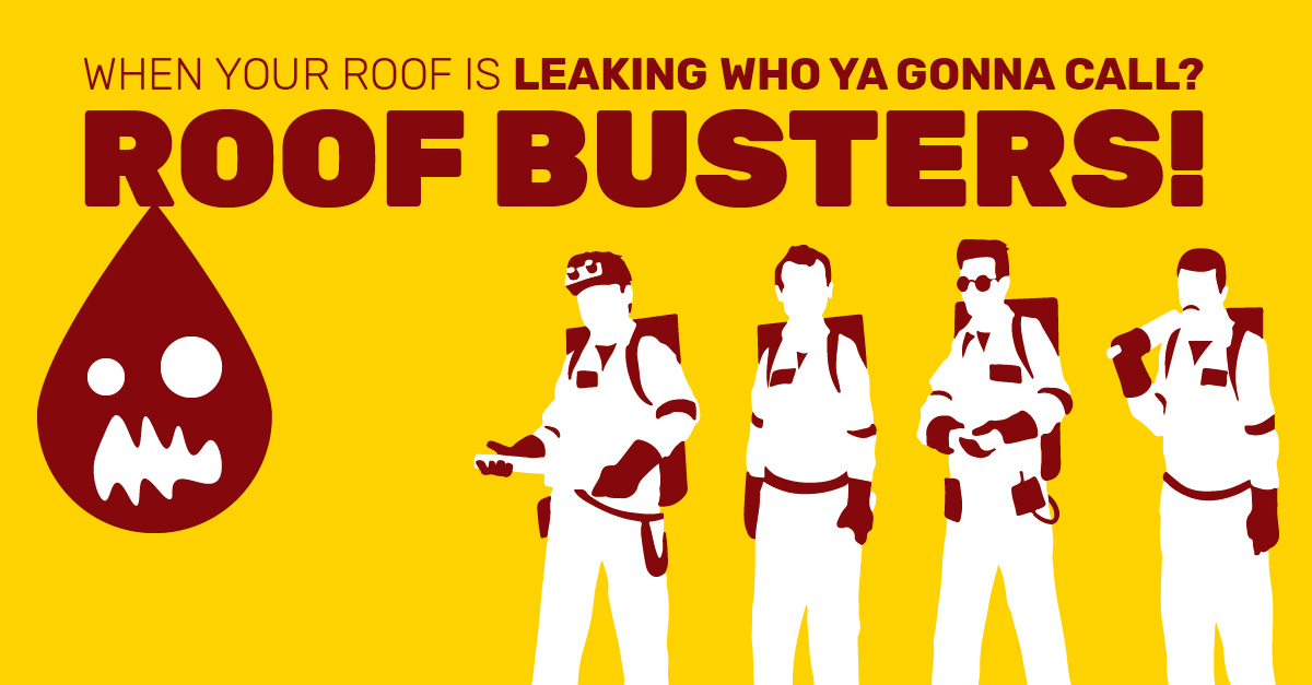 When Your Roof is Leaking Who Ya Gonna Call? Roof Busters! 