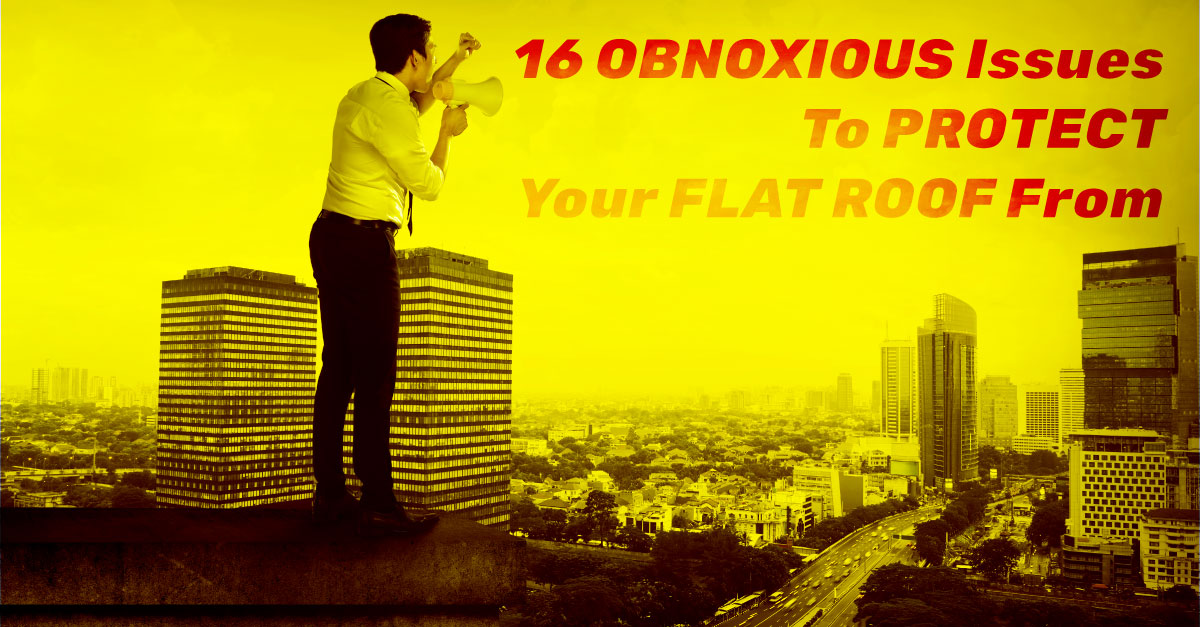 16 Obnoxious Issues To Protect Your Flat Roof From