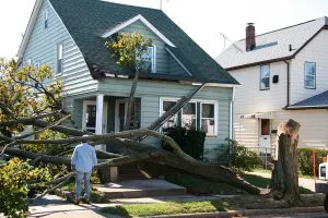 Residential home with a large tree fallen on it, causing significant damage to the structure.