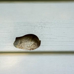 vinyl siding with damage, hole