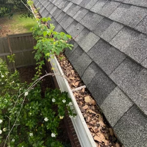 Gutter Filled With Debris
